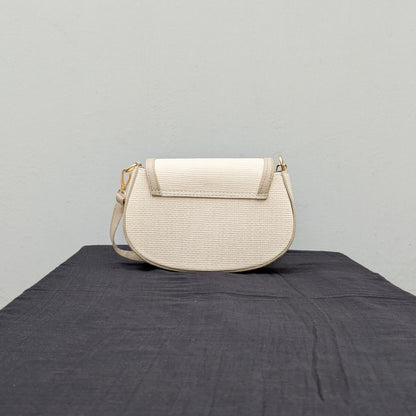 carinno.shop brings you the perfect small beige crossbody bag with a woven-like texture, golden logo-free clasp, golden hardware, and an adjustable strap, placed on a black surface.